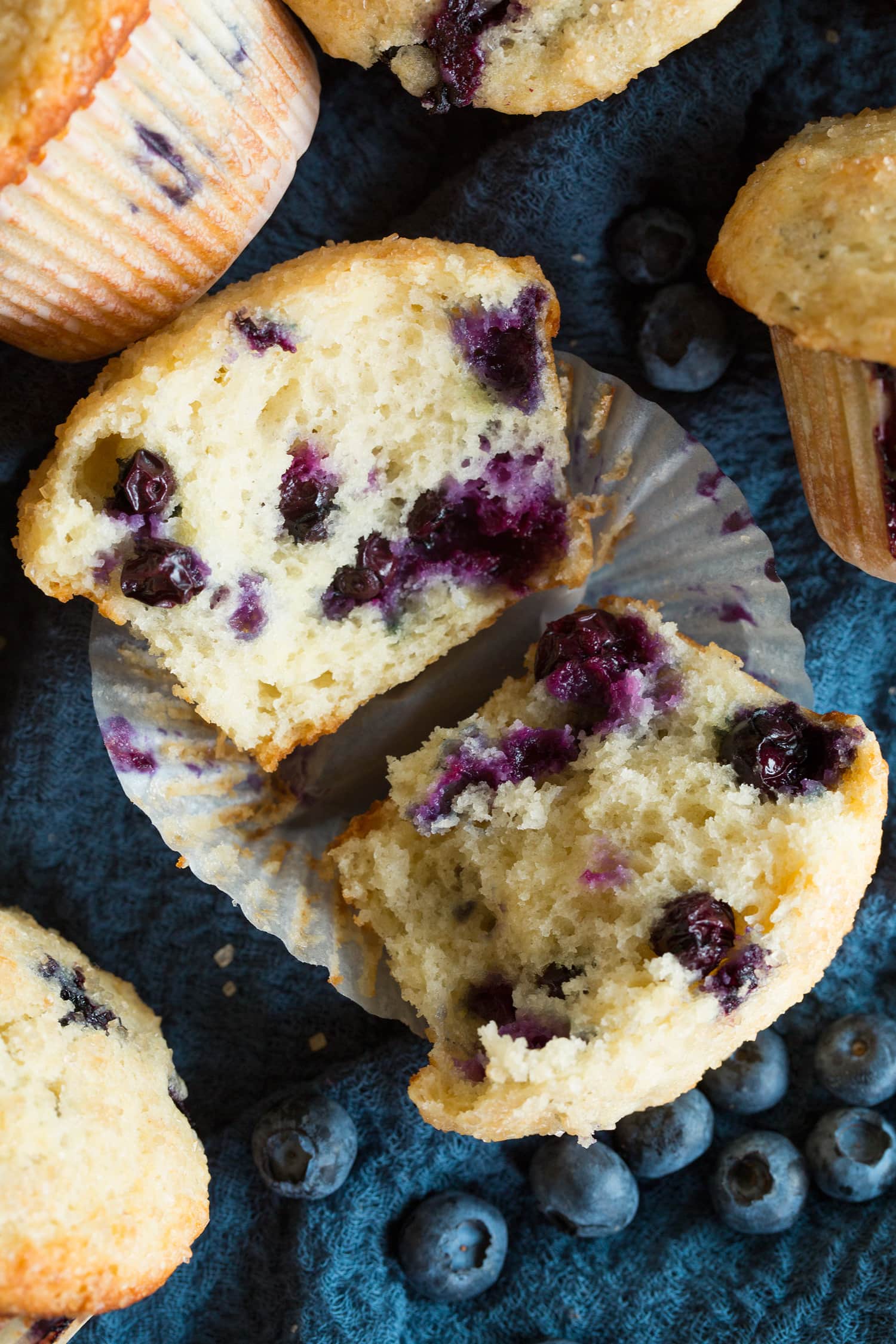 Blueberry muffin torn in half to show texture of muffin inside.